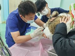 -北京观赏动物医院·24小时大型综合·猫专科·异宠专科