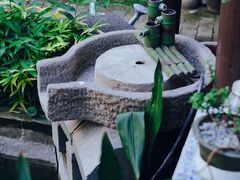 -水岸居湖景农家乐·阳澄湖大闸蟹