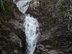 -海南霸王岭国家森林公园