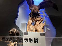-呼和浩特博物馆
