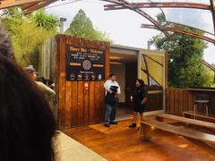 -怀托摩萤火虫洞