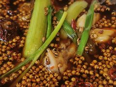 -巴渝菜舍曾氏麻辣风(霸州店)