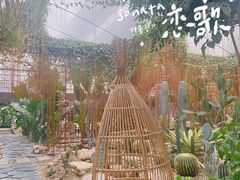 -桉树林A coffee 森林餐厅(三圣乡店)