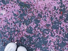 -杭州植物园