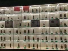 -广东中医药博物馆