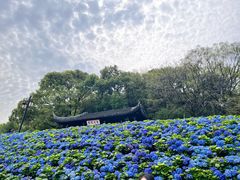 -苏州上方山国家森林公园