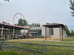 -石家庄市动物园