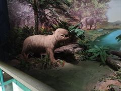 -湖南省地质博物馆