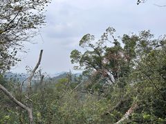 -青龙山国家森林公园