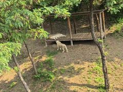 -石家庄市动物园