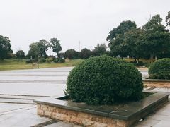 -漕湖湿地公园