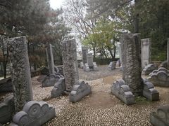 -北京鹫峰国家森林公园