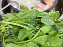 -海关荤豆花(洋河一路店)