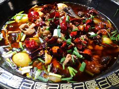 -一只烧鸡公(解放碑店)