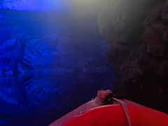 -灵栖洞天