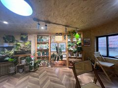 -Rabbit Cafe私房西餐甜点咖啡(栖霞路店)