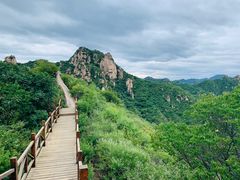 -大岭沟猕猴桃谷风景区