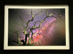 -罗红摄影艺术馆