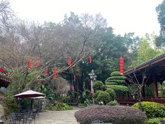 -乌山风景区