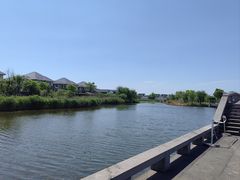 -杭州湾海上花田景区