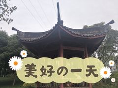 -重庆彩云湖湿地公园