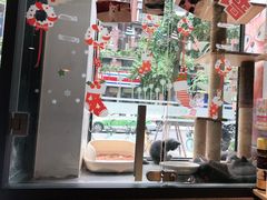 -帕帕拉兹宠物(亚洲旗舰店)