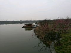 -上海海湾国家森林公园