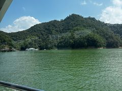 -千岛湖东南湖区
