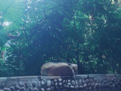 -韶关经律论国际酒店温泉