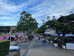 -布里斯班南岸公园