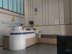 -半岛宠物医院24小时(科华中路店)
