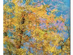 -三圣花乡旅游区