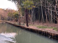 -同里国家湿地公园