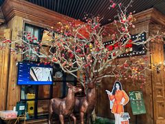 -新白鹿餐厅(城西银泰城店)