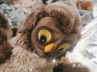 你的宜家好物安利DPer来咯   商品名:宜家好物～