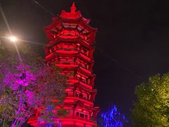 -洋湖国家湿地公园