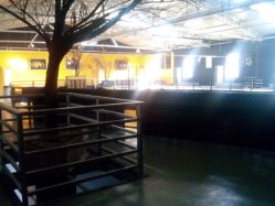 android_upload_pic-北京当代芭蕾舞团·艺术中心