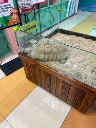 -未来动物城动物主题公园(大悦城店)