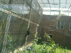 -临沂动植物园