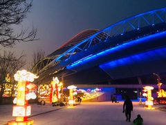 -沈阳奥体冰雪嘉年华