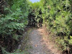 -亲兄弟真人CS团建拓展基地