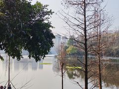 -重庆彩云湖湿地公园