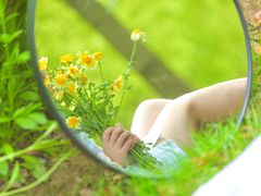 -春花秋色城市公园