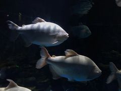 -多彩贵州城极地海洋世界