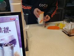 -CoCo都可(骆家庄新店)
