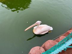-大连老虎滩海洋公园