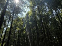 -山王坪喀斯特国家生态公园