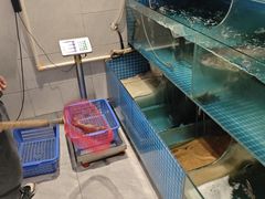 -大鹅岛灶台鱼·铁锅炖(水库路店)