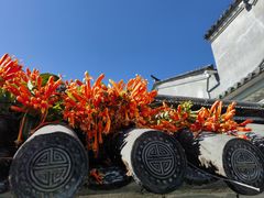-和顺古镇