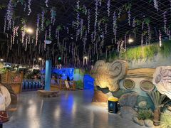 -海合安成都极地海洋公园